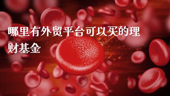哪里有外贸平台可以买的理财基金_https://www.qdlswl.com_理财_第1张