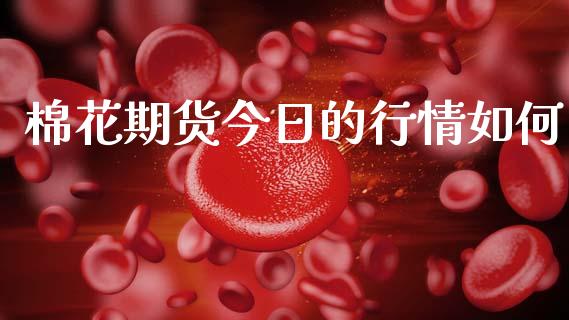 棉花期货今日的行情如何_https://www.qdlswl.com_直播_第1张