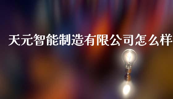 天元智能制造有限公司怎么样_https://www.qdlswl.com_股票_第1张
