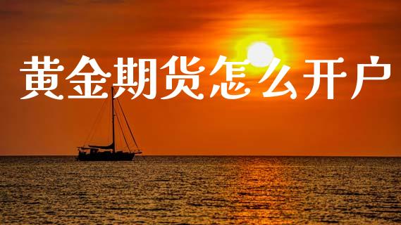 黄金期货怎么开户_https://www.qdlswl.com_理财_第1张
