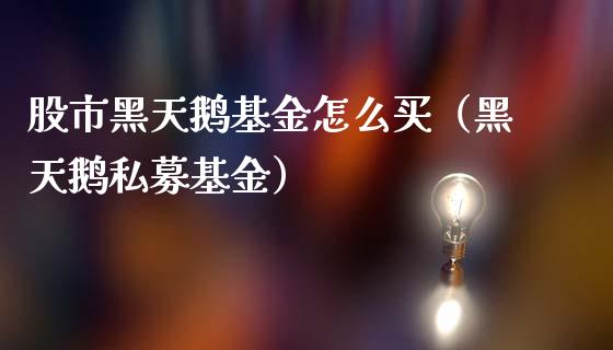 股市黑天鹅基金怎么买（黑天鹅私募基金）_https://www.qdlswl.com_理财_第1张
