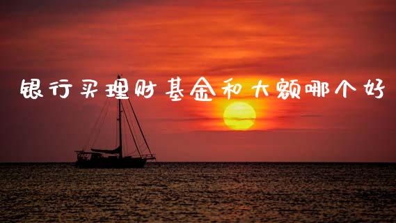 银行买理财基金和大额哪个好_https://www.qdlswl.com_基金_第1张