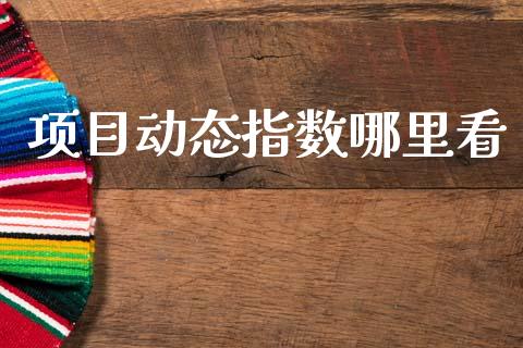 项目动态指数哪里看_https://www.qdlswl.com_股指_第1张