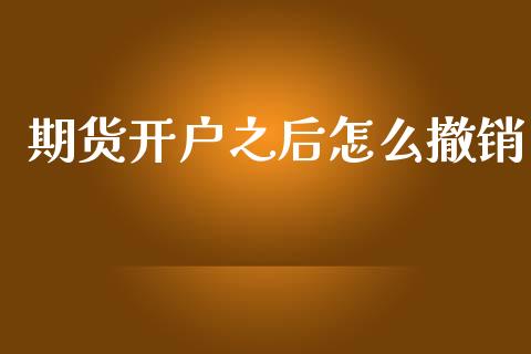 期货开户之后怎么撤销_https://www.qdlswl.com_理财_第1张