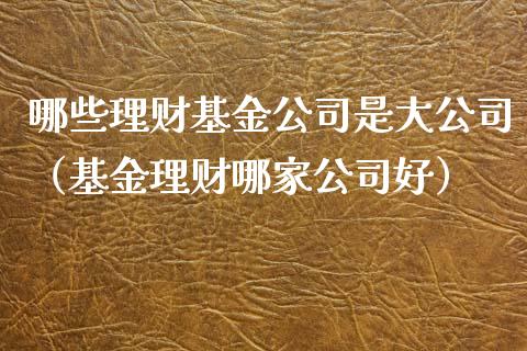 哪些理财基金公司是大公司（基金理财哪家公司好）_https://www.qdlswl.com_基金_第1张