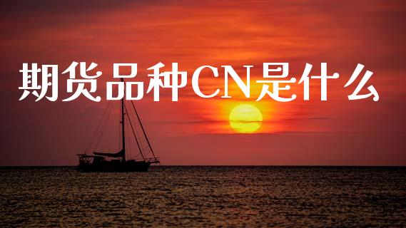期货品种CN是什么_https://www.qdlswl.com_外盘_第1张