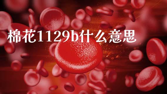 棉花1129b什么意思_https://www.qdlswl.com_期货_第1张