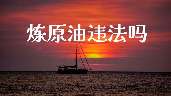 炼原油违法吗_https://www.qdlswl.com_直播_第1张
