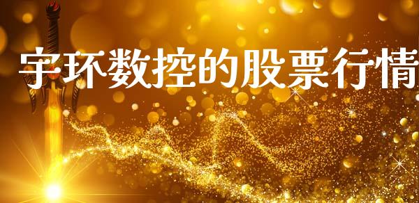 宇环数控的股票行情_https://www.qdlswl.com_内盘_第1张