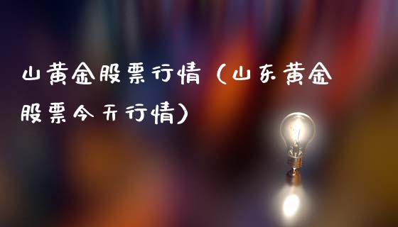山黄金股票行情（山东黄金股票今天行情）_https://www.qdlswl.com_内盘_第1张