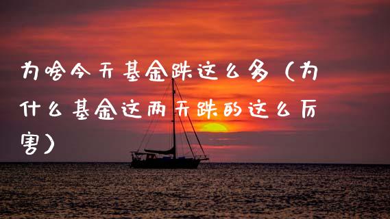 为啥今天基金跌这么多（为什么基金这两天跌的这么厉害）_https://www.qdlswl.com_基金_第1张
