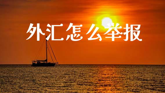 外汇怎么举报_https://www.qdlswl.com_股票_第1张