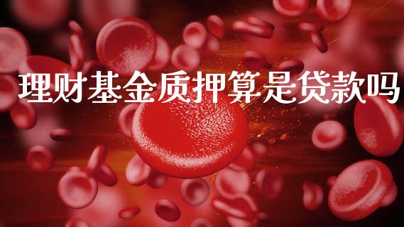 理财基金质押算是贷款吗_https://www.qdlswl.com_基金_第1张