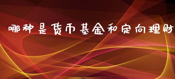 哪种是货币基金和定向理财_https://www.qdlswl.com_基金_第1张