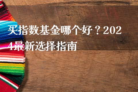 买指数基金哪个好？2024最新选择指南_https://www.qdlswl.com_外盘_第1张