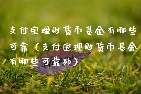 支付宝理财货币基金有哪些可靠（支付宝理财货币基金有哪些可靠的）_https://www.qdlswl.com_理财_第1张