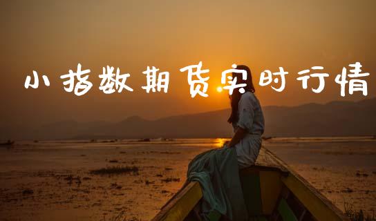 小指数期货实时行情_https://www.qdlswl.com_直播_第1张