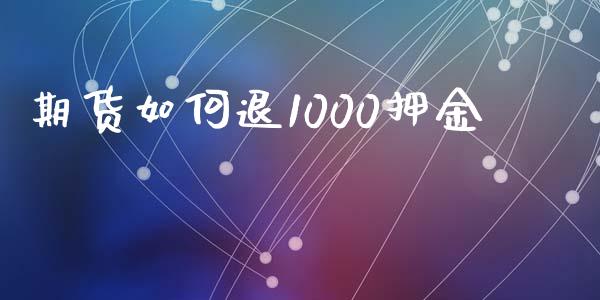 期货如何退1000押金_https://www.qdlswl.com_股指_第1张