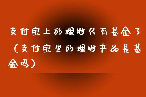 支付宝上的理财只有基金了（支付宝里的理财产品是基金吗）_https://www.qdlswl.com_理财_第1张