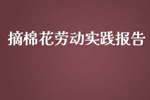 摘棉花劳动实践报告_https://www.qdlswl.com_股指_第1张