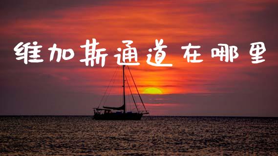 维加斯通道在哪里_https://www.qdlswl.com_外盘_第1张