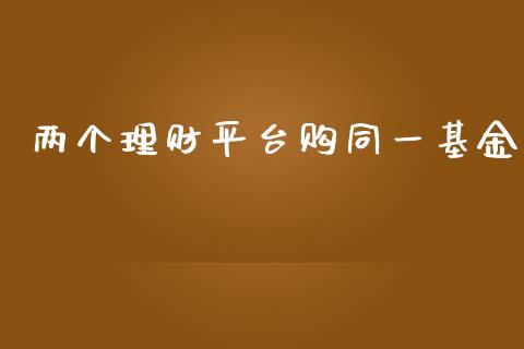 两个理财平台购同一基金_https://www.qdlswl.com_理财_第1张