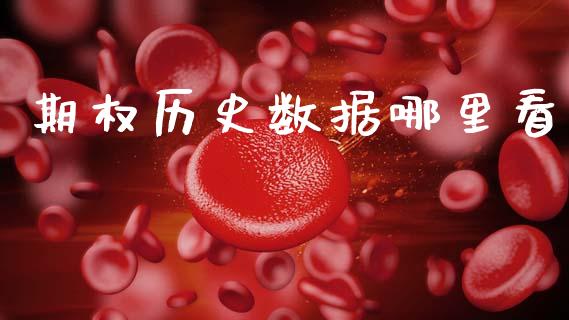 期权历史数据哪里看_https://www.qdlswl.com_期货_第1张