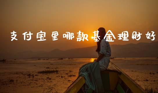 支付宝里哪款基金理财好_https://www.qdlswl.com_理财_第1张