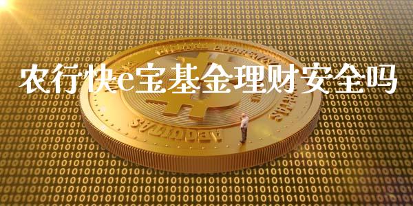 农行快e宝基金理财安全吗_https://www.qdlswl.com_基金_第1张