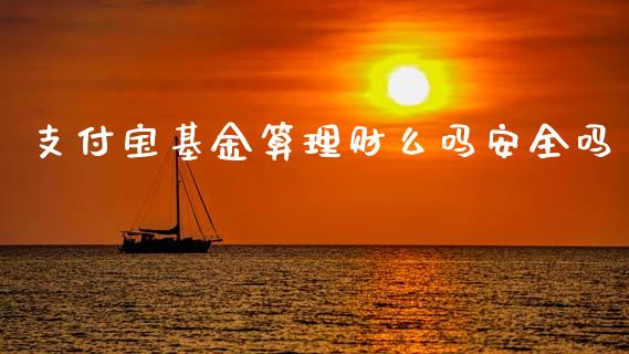 支付宝基金算理财么吗安全吗_https://www.qdlswl.com_基金_第1张