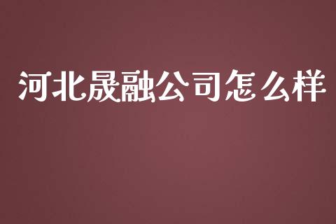 河北晟融公司怎么样_https://www.qdlswl.com_股票_第1张