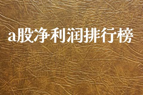 a股净利润排行榜_https://www.qdlswl.com_期货_第1张