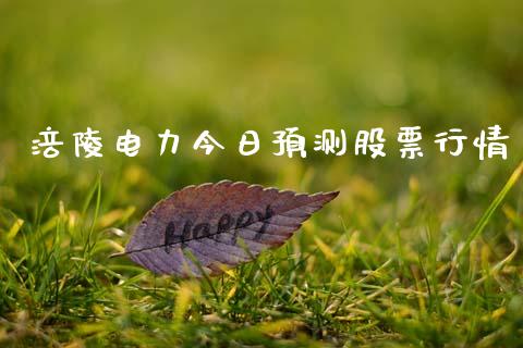 涪陵电力今日预测股票行情_https://www.qdlswl.com_外盘_第1张