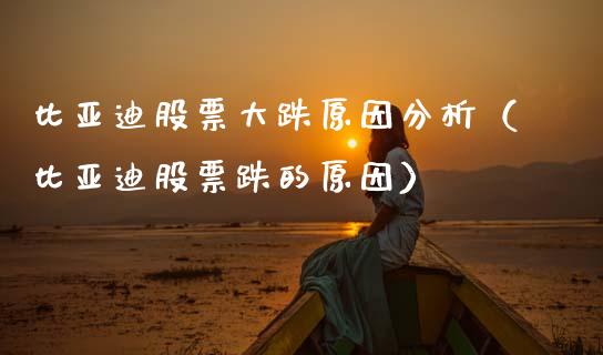 比亚迪股票大跌原因分析（比亚迪股票跌的原因）_https://www.qdlswl.com_内盘_第1张