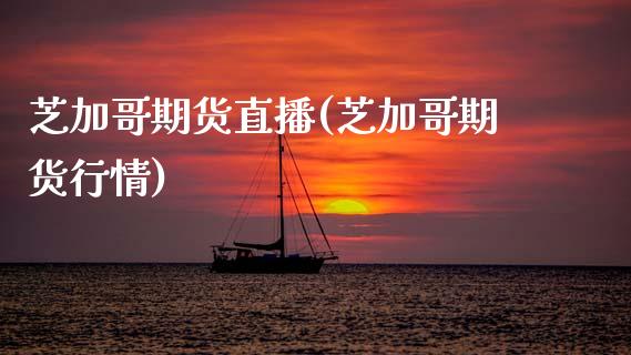 芝加哥期货直播(芝加哥期货行情)_https://www.qdlswl.com_期货_第1张