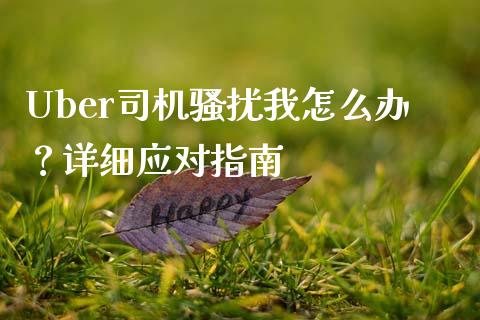 Uber司机骚扰我怎么办？详细应对指南_https://www.qdlswl.com_基金_第1张