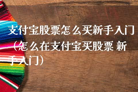 支付宝股票怎么买新手入门（怎么在支付宝买股票 新手入门）_https://www.qdlswl.com_股票_第1张