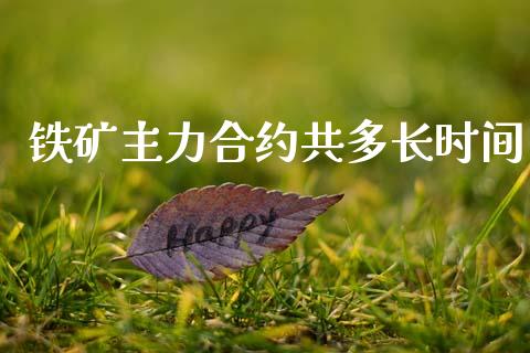 铁矿主力合约共多长时间_https://www.qdlswl.com_股票_第1张