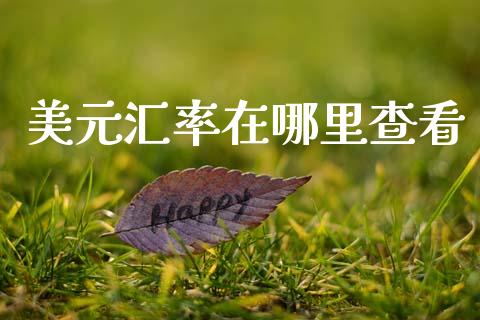 美元汇率在哪里查看_https://www.qdlswl.com_股指_第1张