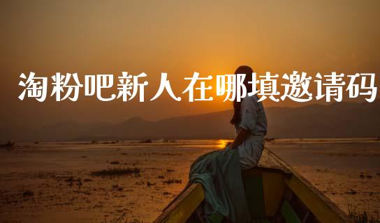 淘粉吧新人在哪填邀请码_https://www.qdlswl.com_直播_第1张