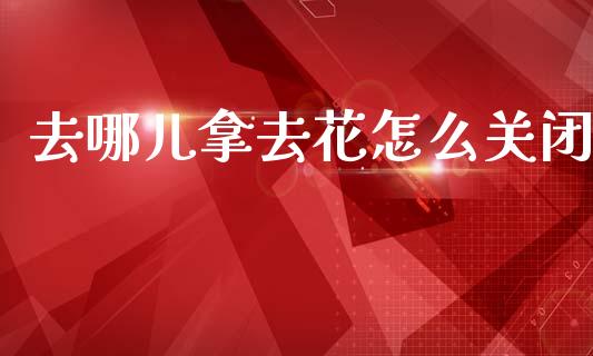 去哪儿拿去花怎么关闭_https://www.qdlswl.com_基金_第1张