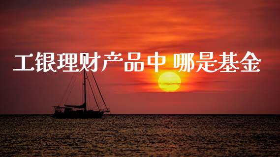 工银理财产品中 哪是基金_https://www.qdlswl.com_理财_第1张