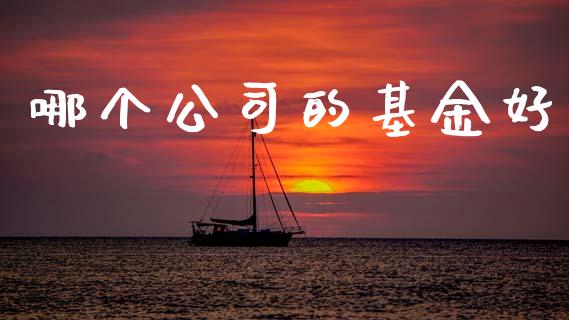 哪个公司的基金好_https://www.qdlswl.com_直播_第1张