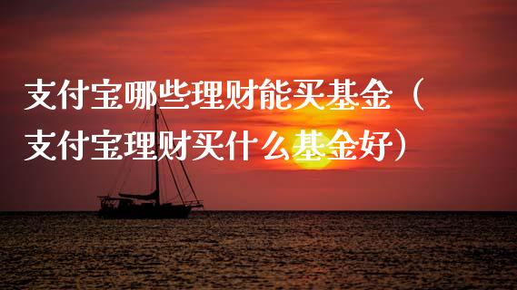 支付宝哪些理财能买基金（支付宝理财买什么基金好）_https://www.qdlswl.com_基金_第1张