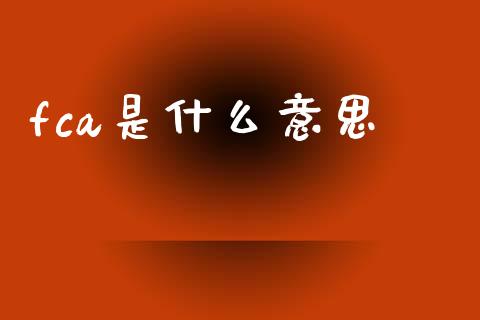 fca是什么意思_https://www.qdlswl.com_外盘_第1张
