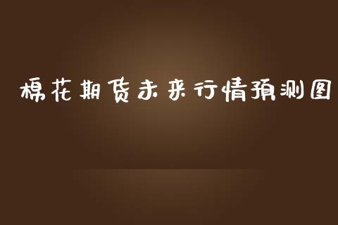 棉花期货未来行情预测图_https://www.qdlswl.com_期货_第1张