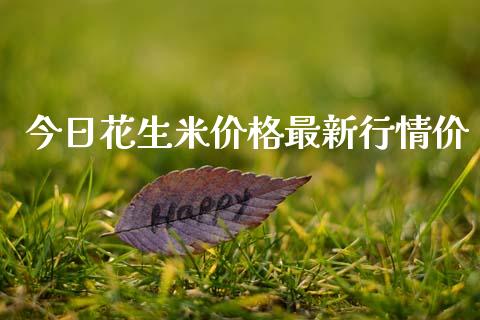 今日花生米价格最新行情价_https://www.qdlswl.com_期货_第1张