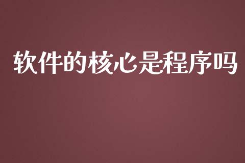 软件的核心是程序吗_https://www.qdlswl.com_期货_第1张