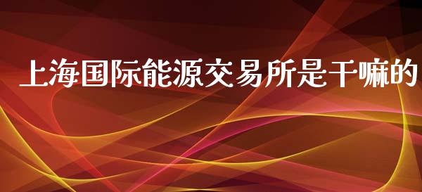 上海国际能源交易所是干嘛的_https://www.qdlswl.com_直播_第1张