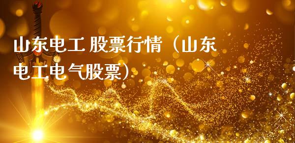 山东电工 股票行情（山东电工电气股票）_https://www.qdlswl.com_股票_第1张